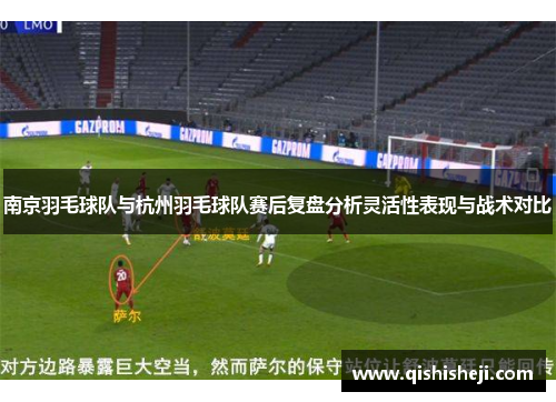 南京羽毛球队与杭州羽毛球队赛后复盘分析灵活性表现与战术对比