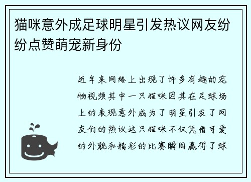 猫咪意外成足球明星引发热议网友纷纷点赞萌宠新身份